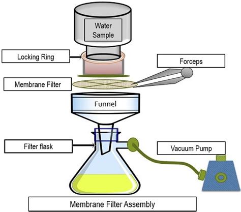 difference between autoclave and filtered|autoclave bacterial filter.